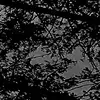 John Silbaugh - @johnsilbaugh - TikTok
