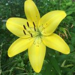 John Sepe - @john_sepe_ - Instagram