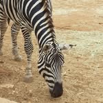 @john_septer9 - Instagram