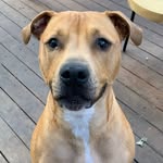 John Sercia - @johninport - Instagram