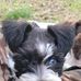 John William Serge - Facebook