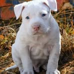 John Seena - Facebook