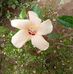 J.C. Serech - Facebook