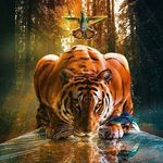 Srvs John - @johnservais20 - Instagram
