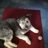 Jörn Serwatka - @watzky1 - TikTok