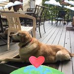 John Sessa - @sessajohnj - Instagram
