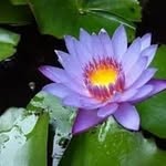 John Seth - @john.seth.9047 - Instagram