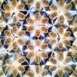 John Seth-Watkins - @johnsethwatkins - Instagram