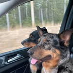 Racer Dean - @john.settergren.7 - Instagram