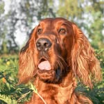 Джон - @pyps_setter_john - Instagram