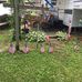 John Seyferth - Facebook