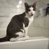 John Phillips - @johnseymore2585 - TikTok