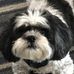 John Sforza - Facebook