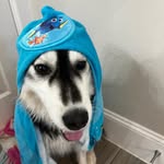 John Shaffer - @john_shaffer19 - Instagram
