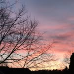 John Sharo - @enjoyingphotos - Instagram