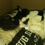 John Sharrock - @jaharrock48 - Instagram