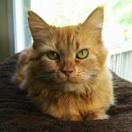 John Shaver - @johnshaver1960 - Instagram