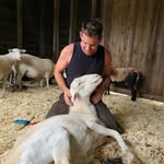 John Sanchez Shearing - @johnsanchezshearing - Instagram