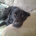 John Sheets - Facebook