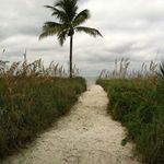 John Sheffield - @johnsheffield - Instagram