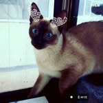 John Sheng - @shengjiarui0921 - Instagram