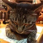 Johnsheng - @john_atc - Instagram