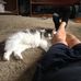 John Shepardson - Facebook
