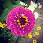 Johnnie Shepardson - @johnnieshepardson - Instagram
