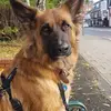 John Ringham - @john.ringham - TikTok