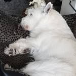 john sheward - @warpedgamer951 - Instagram
