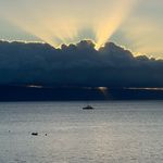 John Shields - @johnpshields805 - Instagram