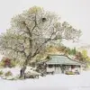 John Shin - @john.shin89 - TikTok