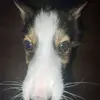 John Shinn - @john.shinn - TikTok