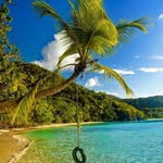 The Best Damn St. John Shirts - @stjohn_shirts - Instagram