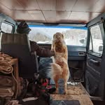 John Shocklee - @johnshocklee - Instagram