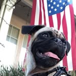 John McCray - @johnshooter1231 - Instagram