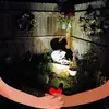 John Shull - @john.shull8 - TikTok