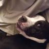 John Shular - @john.shular - TikTok