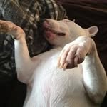 John Shupp - @djshupp - Instagram