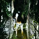 john shutler - @johnshutler_writetrail - Instagram