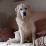 John Sidwell - @zakandjake262 - Instagram