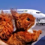 Johnsie - @johnsie_squirrel - Instagram