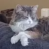 John Sillers - @john.sillers7 - TikTok