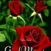Jaan Simine - Facebook