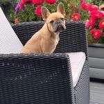 John Simmonds - @johnsimmonds1967 - Instagram