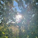 John Simons - @simons1288 - Instagram