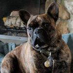 John Simonson - @simosays14 - Instagram