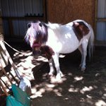 John Simonson - @kixhappychoose - Instagram