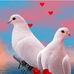 John Single - Facebook