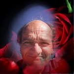John Singley - @john.singley.3745 - Instagram